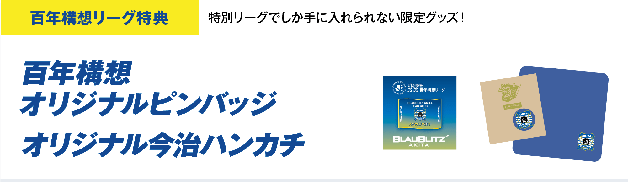 百年構想リーグ特典 オリジナルピンバッジ オリジナルハンカチ